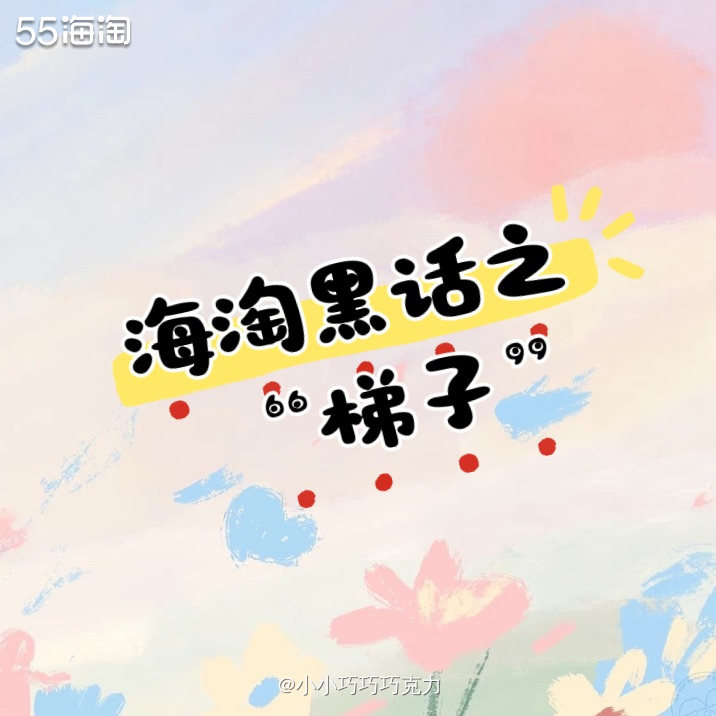 相信肯定有很多海淘小白对常说的梯子有疑惑吧，这个梯子可不是生