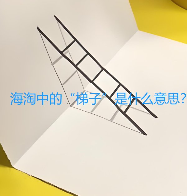 海淘时老听人说要用梯子才能打开这个网站，其实就是指翻qian