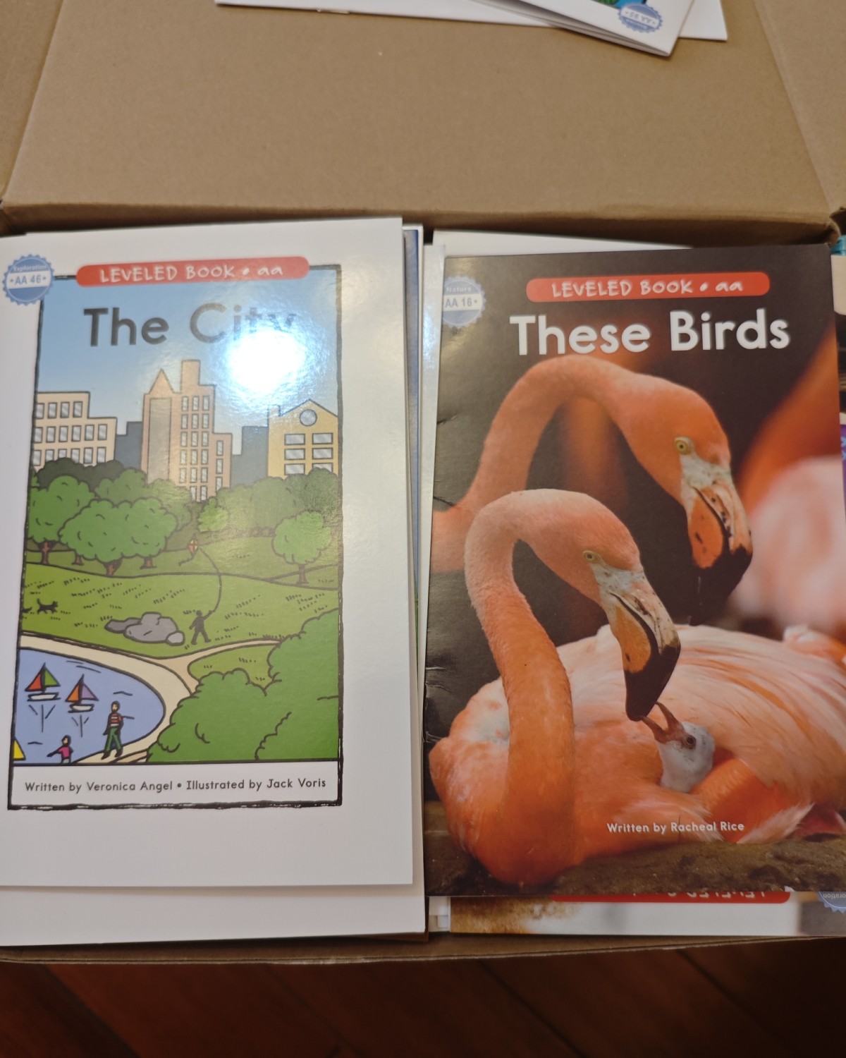 我家小侄女现在一直都是我教她英语，顺便带我女儿一起学习，但是