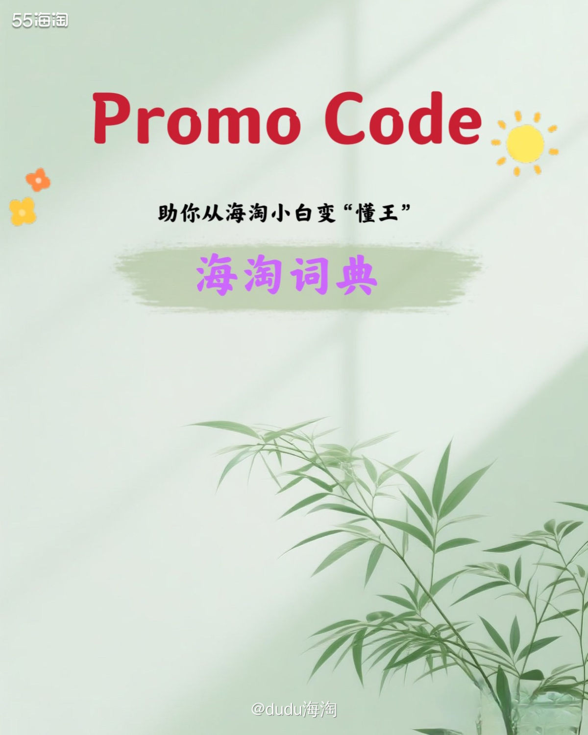 ✅海淘术语：Promo Code   ✅通俗解释：即促销码，