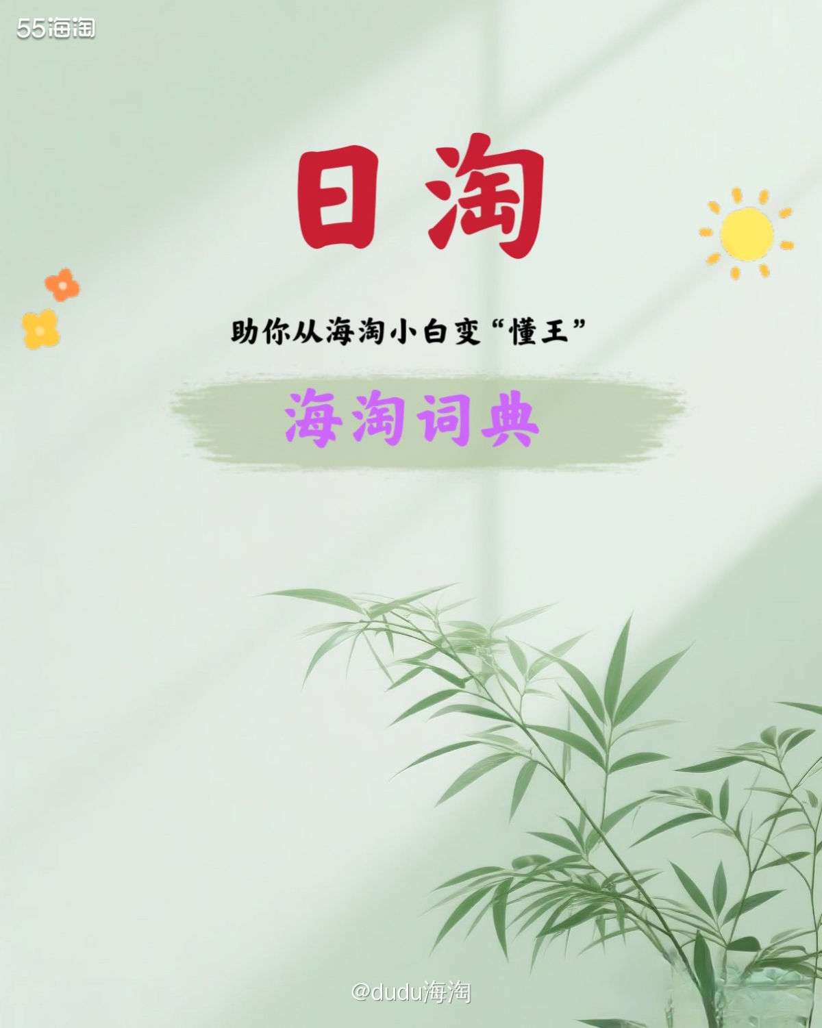 ✅海淘术语：日淘  ✅通俗解释：从从日本网站海淘购物，商品从