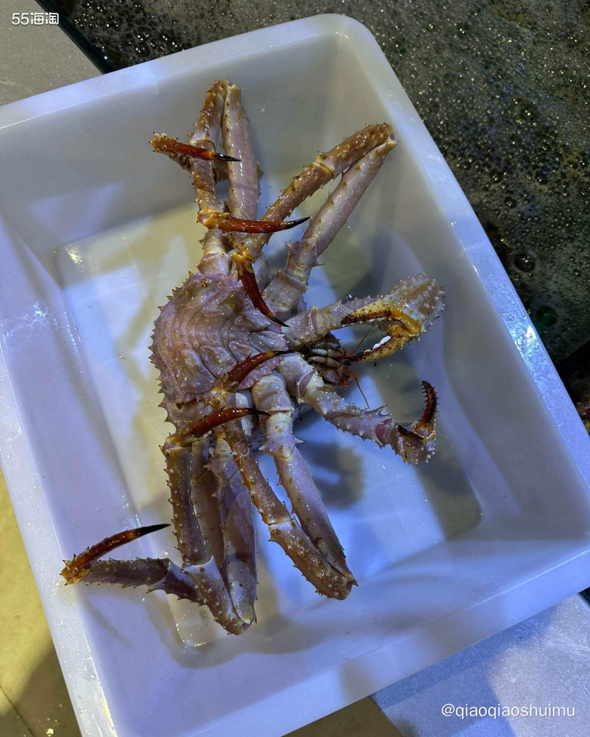 我们到达珲春时已经是三点多了，等开到海鲜街刚好饭点儿。 帝王