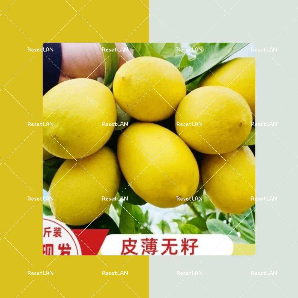 最近特别痴迷柠檬水。也在蜜雪买了好多杯。 但是突然想起来冰箱