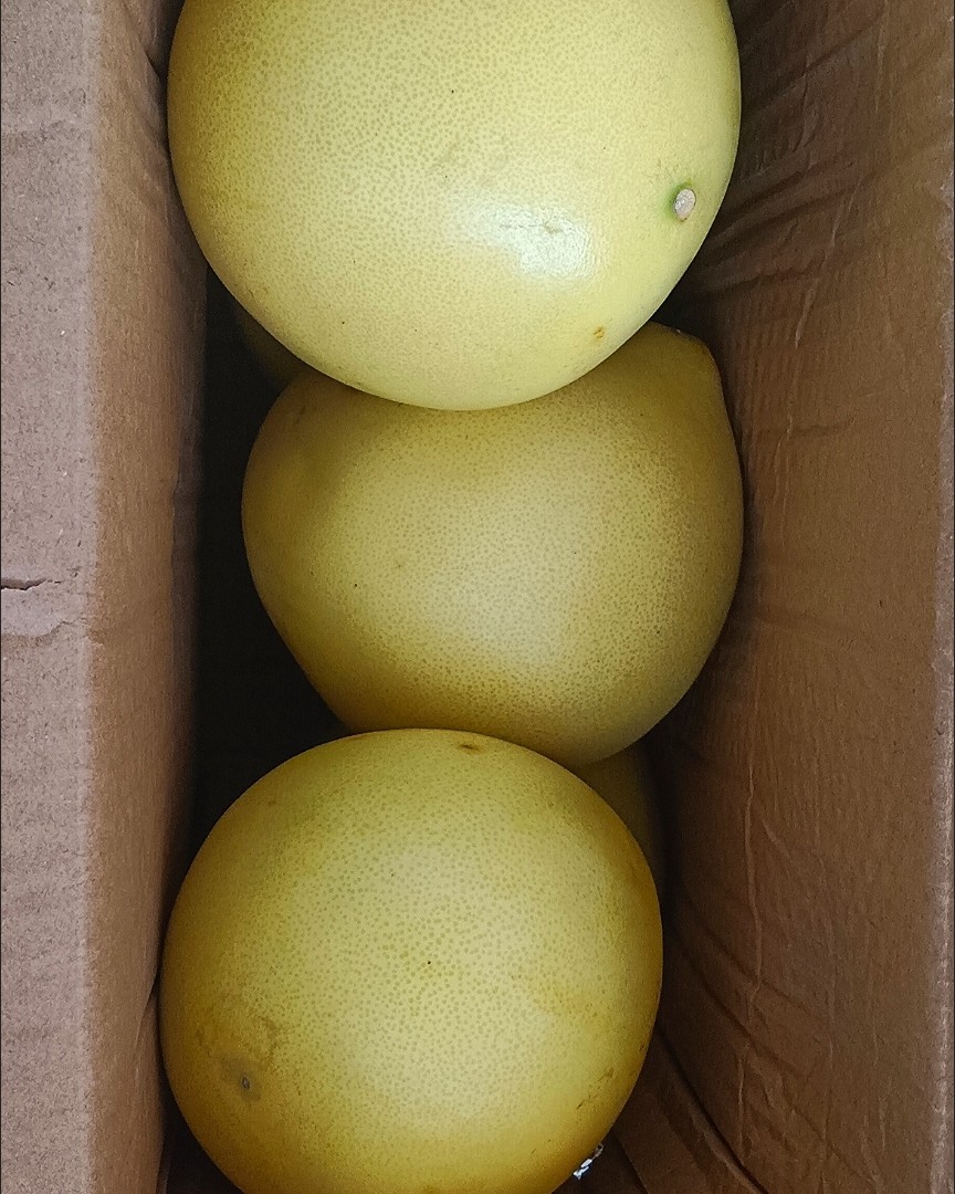 下单网站：拼多多app 下单商品：白玉蜜柚一箱子 下单金额：