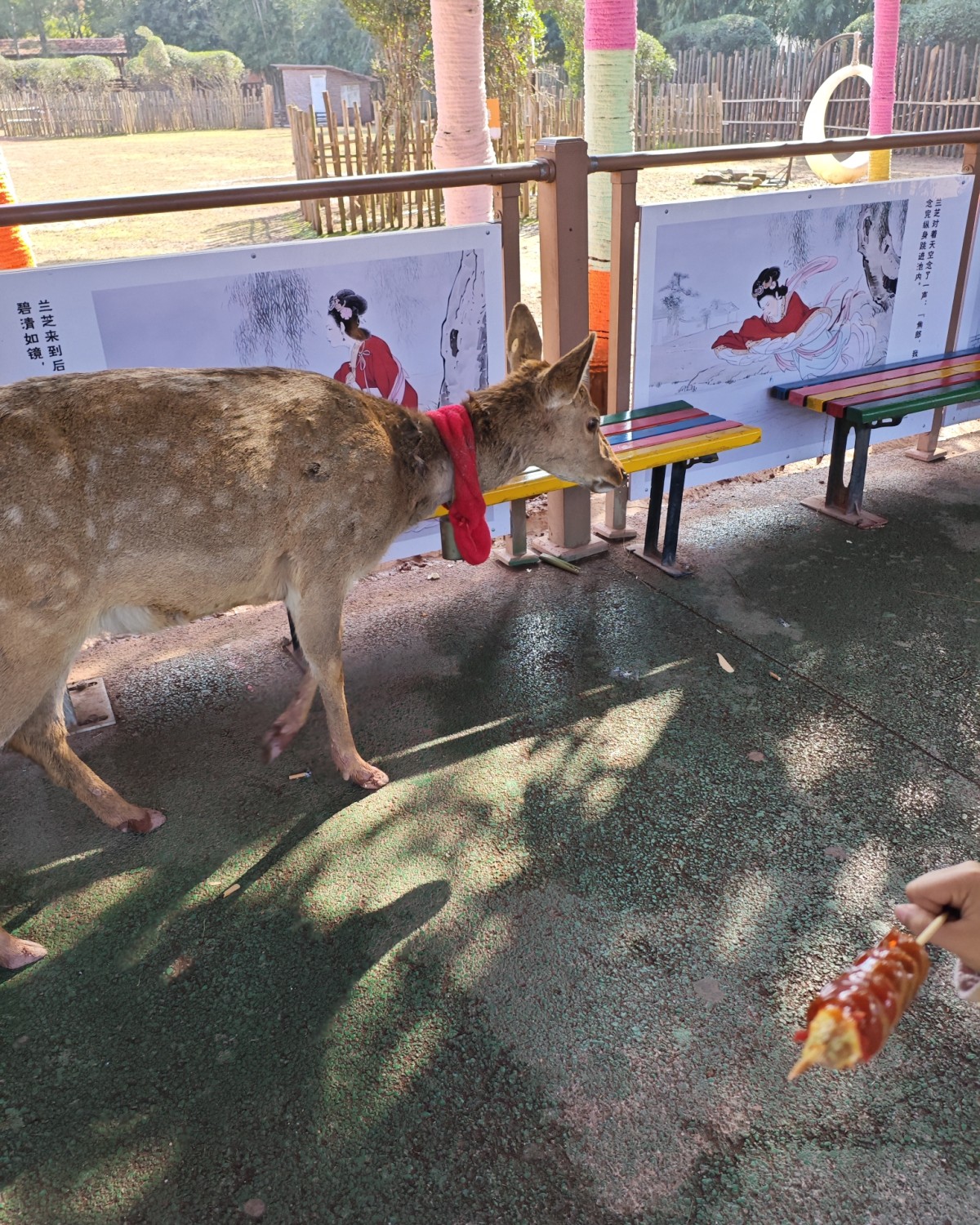 初四大家亲戚走的差不多了，就约着一起去盘龙大观园来玩～  ✨