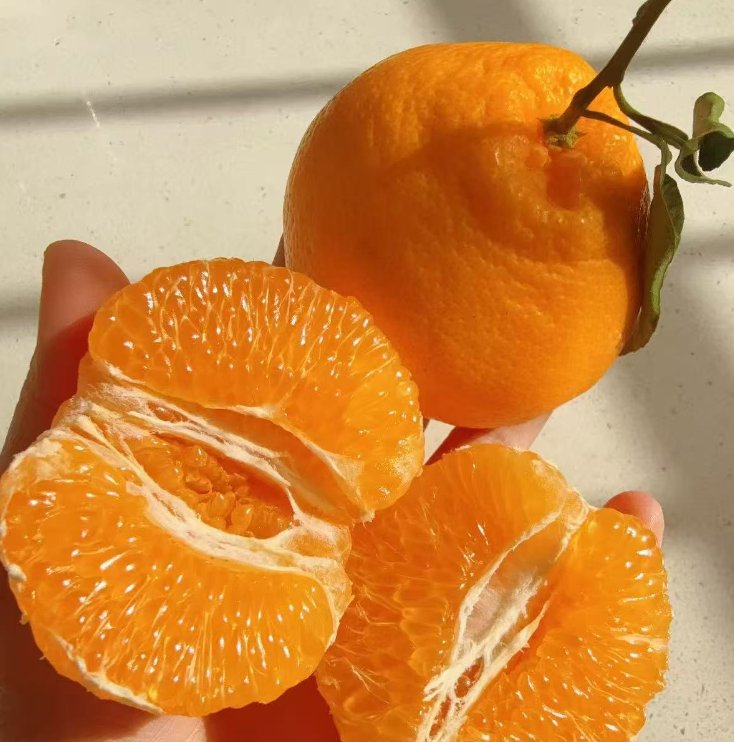 看到55群里在发京东水果的好价，耙耙柑11多块多可以买到5斤