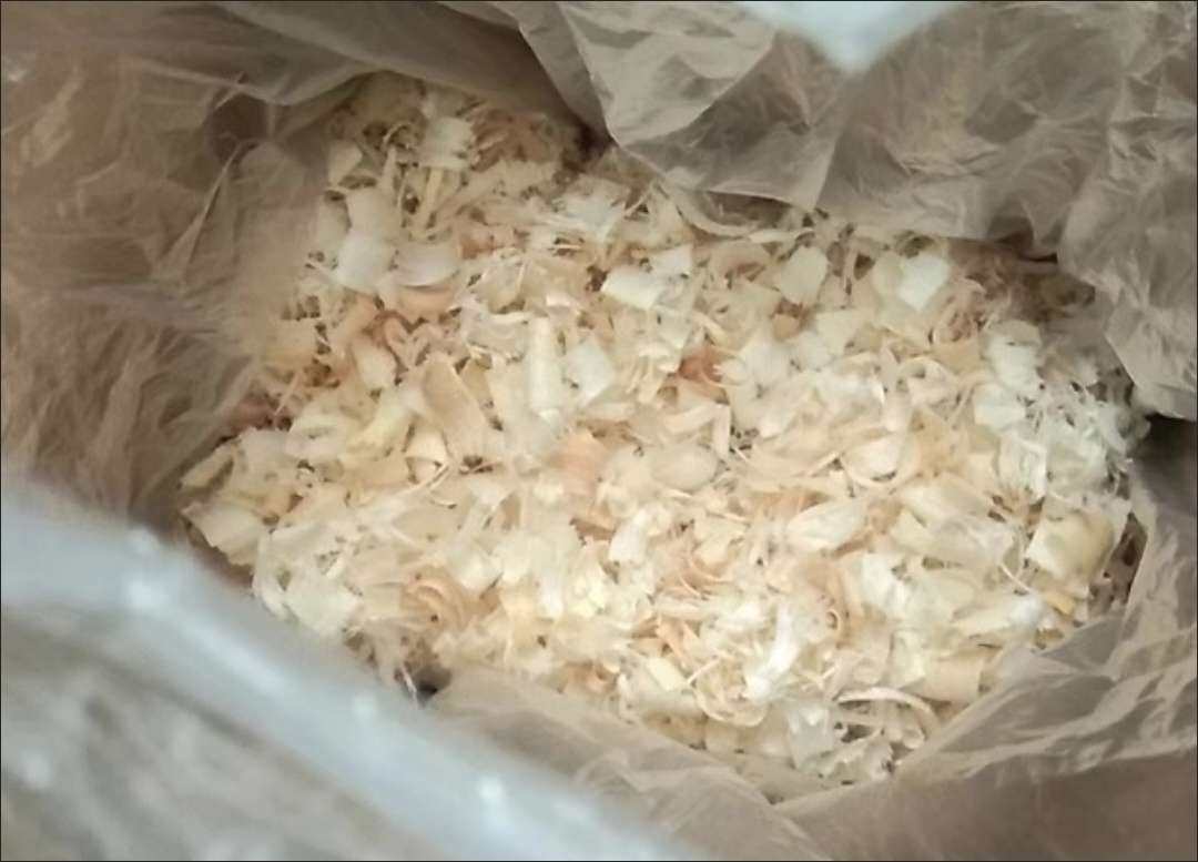 下单网站：拼多多APP 下单商品：小仓鼠垫料白杨木刨花 下单