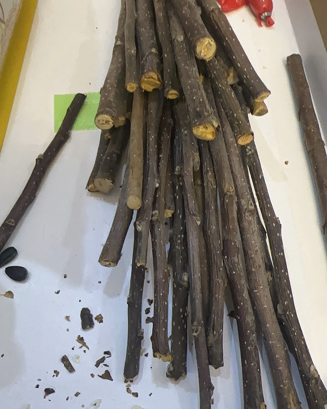 下单网站：拼多多app 下单商品：鼠鼠磨牙树枝，苹果枝 下单