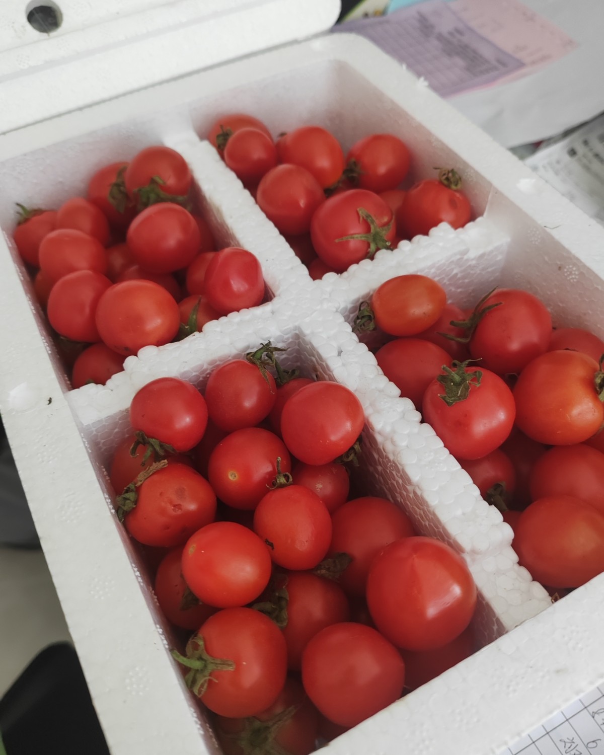 下单网站：京东app秒杀频道 下单商品：广西红色圣女果小番茄