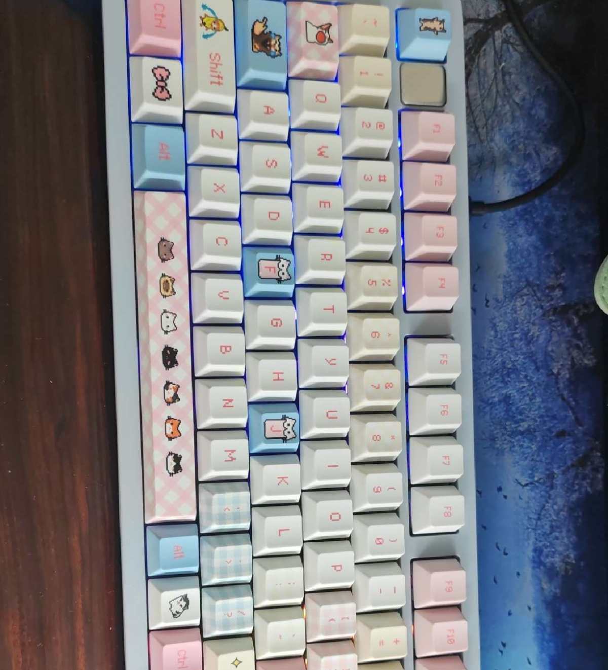 下单网站：抖音商城app 下单商品：莱奥博格HI75C pr