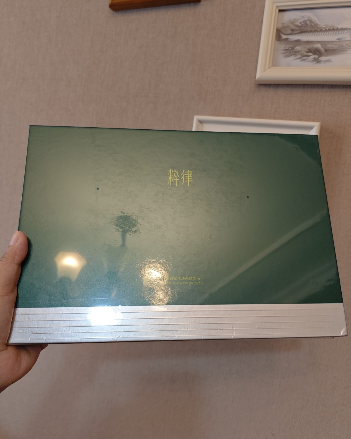 最近看了合伙人那个综艺吗，国产品牌出海了，去海外慢慢拓展影响