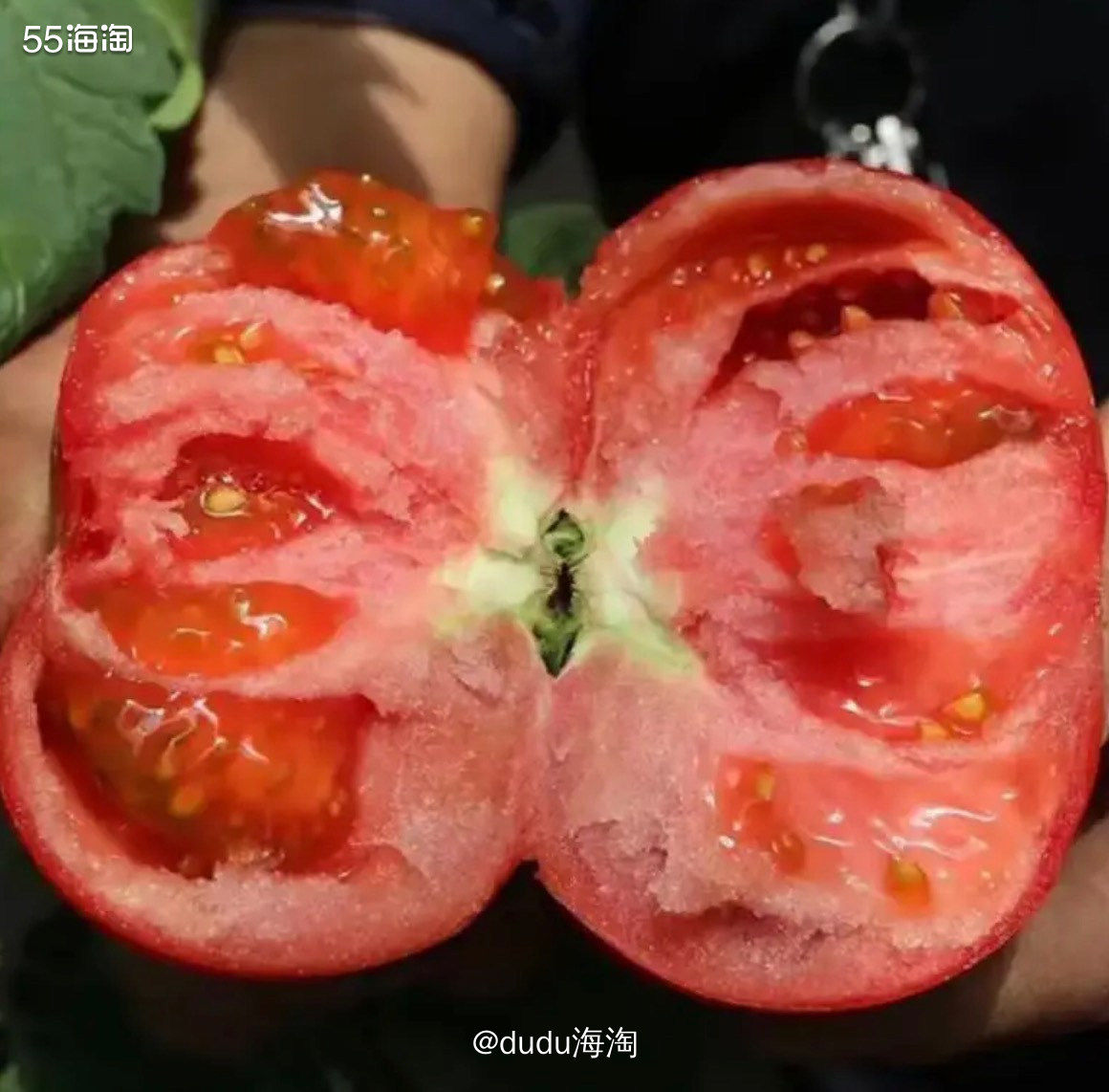 🌿又来买这个普罗旺斯西红柿啦，上次买的一箱已经吃完了，赶紧