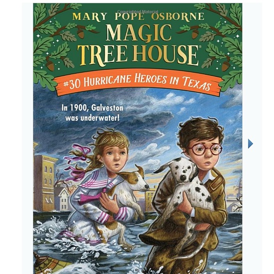 小学生必读书籍！《Magic Tree House 神奇的树屋》丛书- 本地特价
