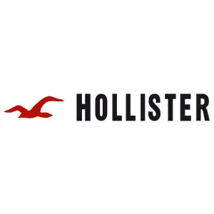 Hollister Sale Level-Up