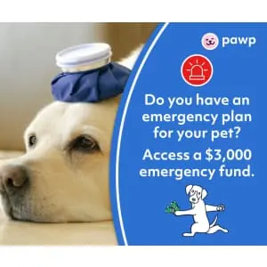 Pawp Pet Care