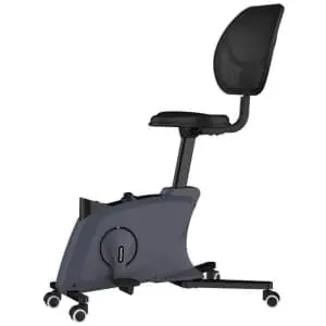 FlexiSpot Sit2Go 2-in-1 Fitness Chair