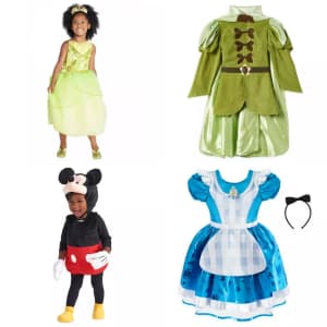 Disney Costumes and Accessories