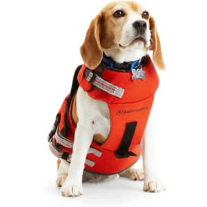 Backcountry x Petco Flotation Dog Vest