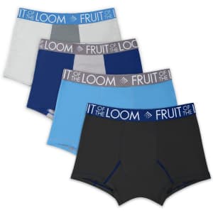 Fruit of the Loom Men's Underwear