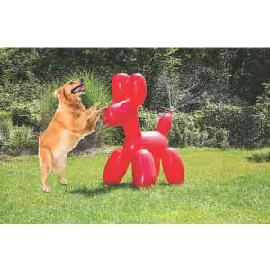 Big Mouth Pet Balloon Dog Sprinkler