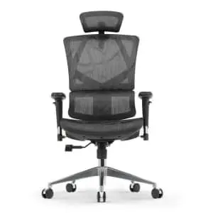SIHOO M90C High-End Office Chair w/ Adaptive Lumbar Support