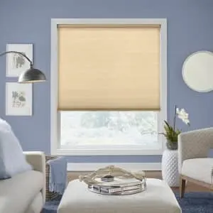 Blinds.com Special Buys