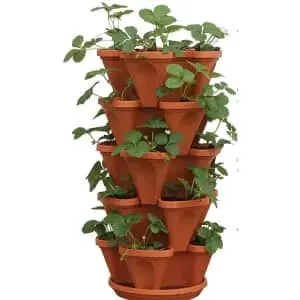Gardening Pots, Planters & Accessories at Amazon