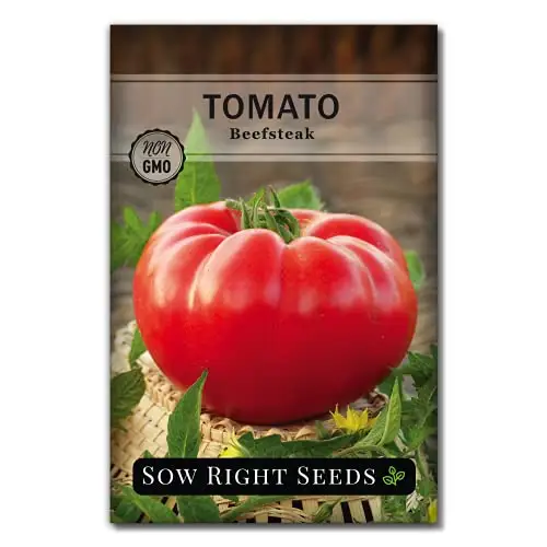 家里种番茄很简单，长得旺又高，果子又多