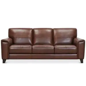 Brayna 88" Classic Leather Sofa